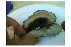 основное блюдо