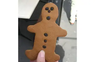 жир