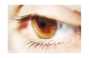 тушёное мясо