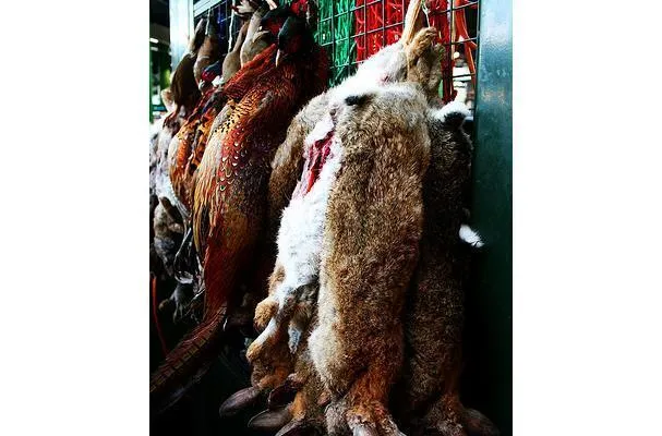 Рагу из фазана