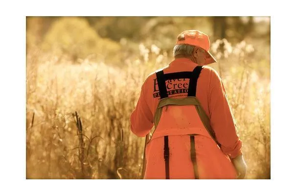 Перепела плантации